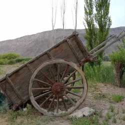 Negocio Cabaña San Antonio