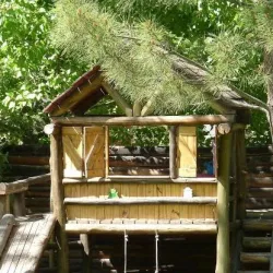 Negocio Cabaña Suiza