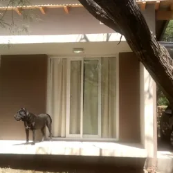 Negocio Cabañas Acaciass