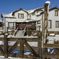 Negocio Cabañas Alechen