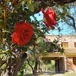 Cabañas Alma Comechingon