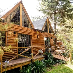 Negocio Cabañas Altos De Pehuen Co