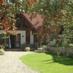 Negocio Cabañas Arroyo Escondido