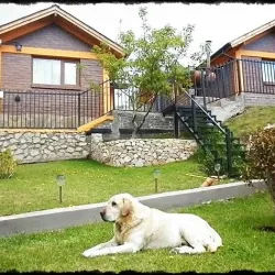 Cabañas Bosque Andino