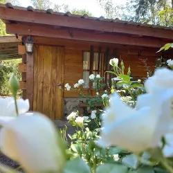 Cabañas Brisas Del Bosque