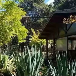 Negocio Cabañas-Camping El Gringo