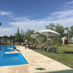 Negocio Cabañas "Carpe Diem"