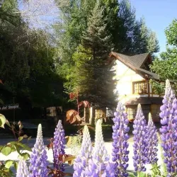 Negocio Cabañas Claro Del Bosque