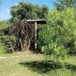 Negocio Cabañas Color Local