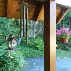 Negocio Cabañas De Alicia