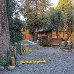 Negocio Cabañas Del Bosque Bariloche