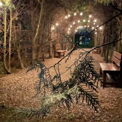 Negocio Cabañas Del Campo