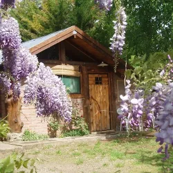 Negocio Cabañas Del Faldeo Titos