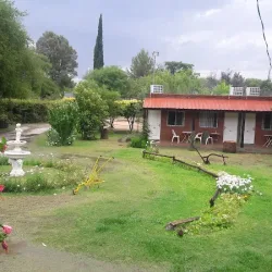 Negocio Cabañas Dinosaurios