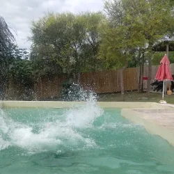 Negocio Cabañas Don Carlos