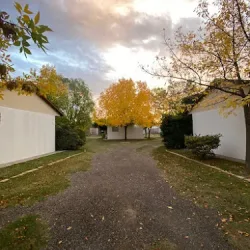 Negocio Cabañas El Alba