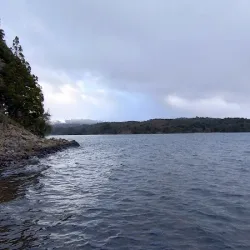 Negocio Cabañas El Susurro