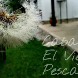 Negocio Cabañas Empedrado El Viejo Pescador