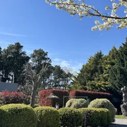 Cabañas En Tandil Alta Vista