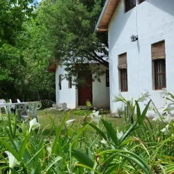 Cabañas Finca Don José