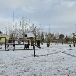 Negocio Cabañas Finca El Colibrí