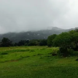 Cabañas Finca Lo De Guarin