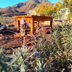 Negocio Cabañas June En El Uritorco