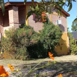 Negocio Cabañas La Amelia