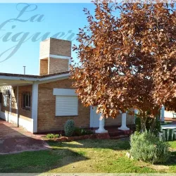 Negocio Cabañas La Higuera Chilecito