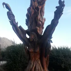 Negocio Cabañas La Portada