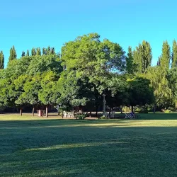 Negocio Cabañas Las Madrigueras