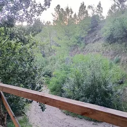 Negocio Cabañas Las Zarinas