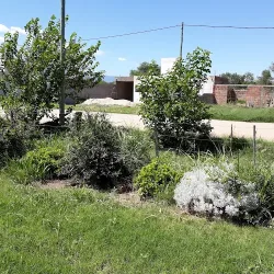 Negocio Cabañas Ldm