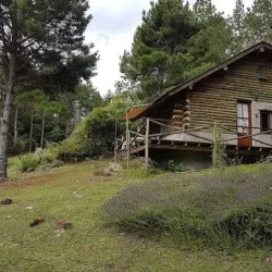 Negocio Cabañas Lomas De Berna