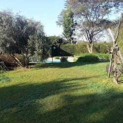 Negocio Cabañas Los Aromos