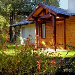 Negocio Cabañas Los Fardos