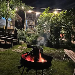 Negocio Cabañas Los Milvos