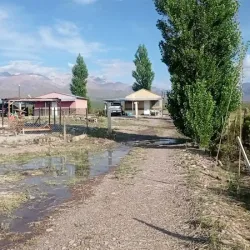 Negocio Cabañas Los Nogales