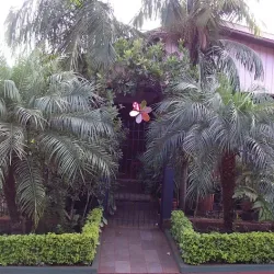 Negocio Cabañas Los Palmitos