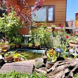 Negocio Cabañas Lycas