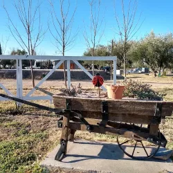 Cabañas "Mi Lugar Soñado"