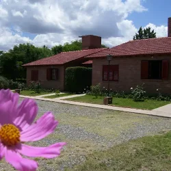 Negocio Cabañas Mi Rincón