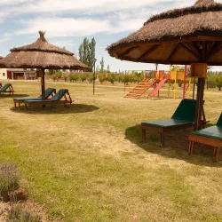 Negocio Cabañas Morita Mía