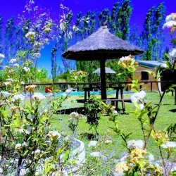 Negocio Cabañas Newen