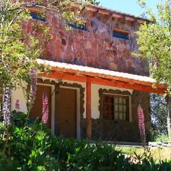 Negocio Cabañas Newen Mahuida