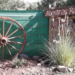 Negocio Cabañas Nuestras Raices