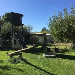 Negocio Cabañas Pañil