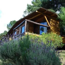 Cabañas Pinaforet