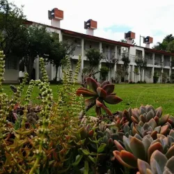 Negocio Cabañas Portal Del Valle, Salta