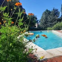 Cabañas Posada Del Río